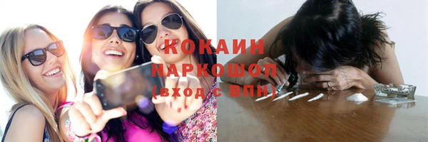 амф Новодвинск