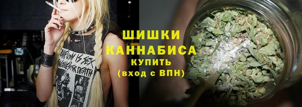 прущий лед Туринск